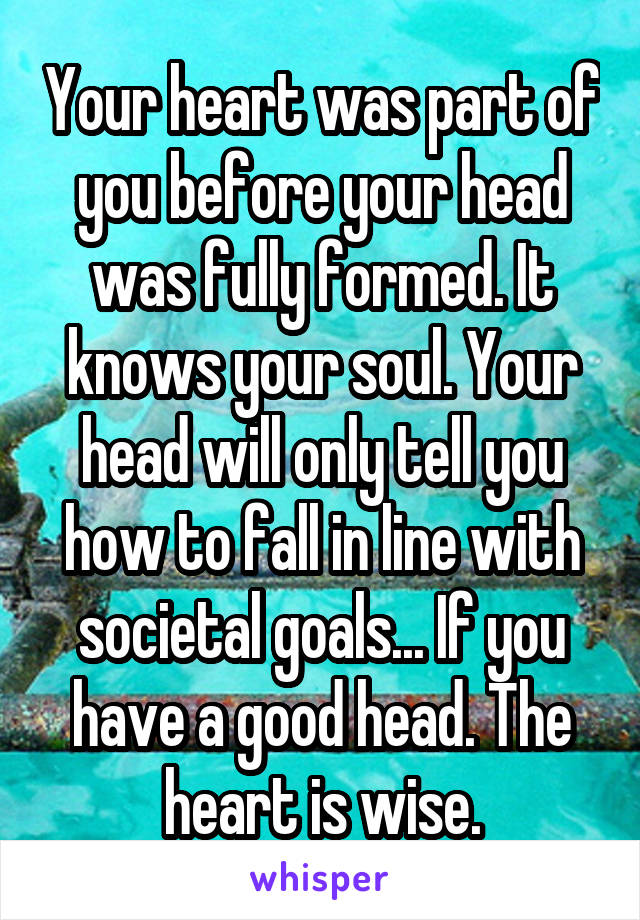 Your heart was part of you before your head was fully formed. It knows your soul. Your head will only tell you how to fall in line with societal goals... If you have a good head. The heart is wise.