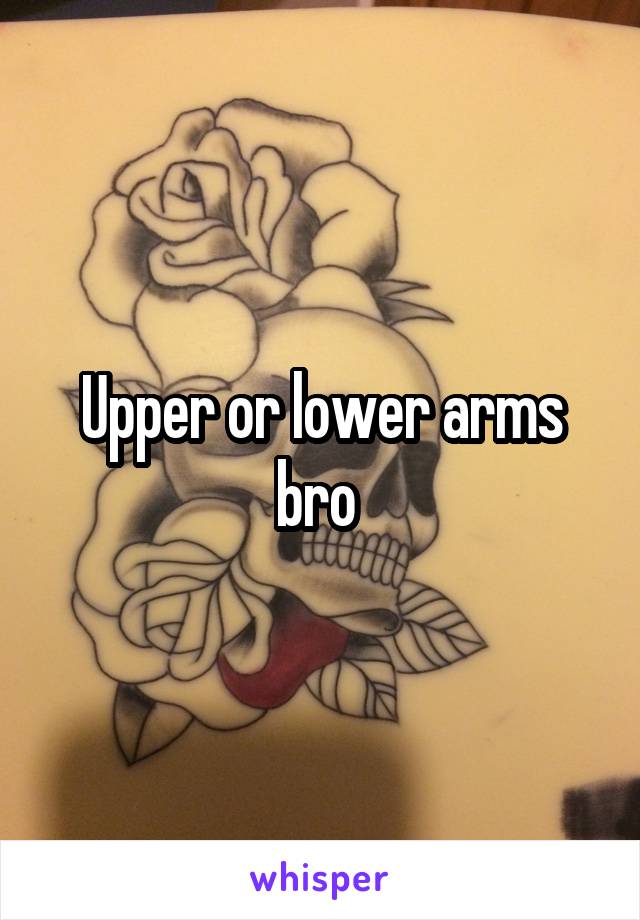 Upper or lower arms bro 