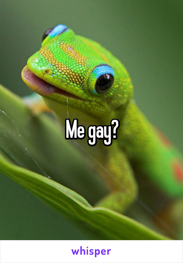 Me gay?