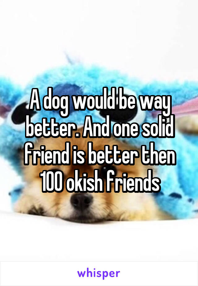 A dog would be way better. And one solid friend is better then 100 okish friends