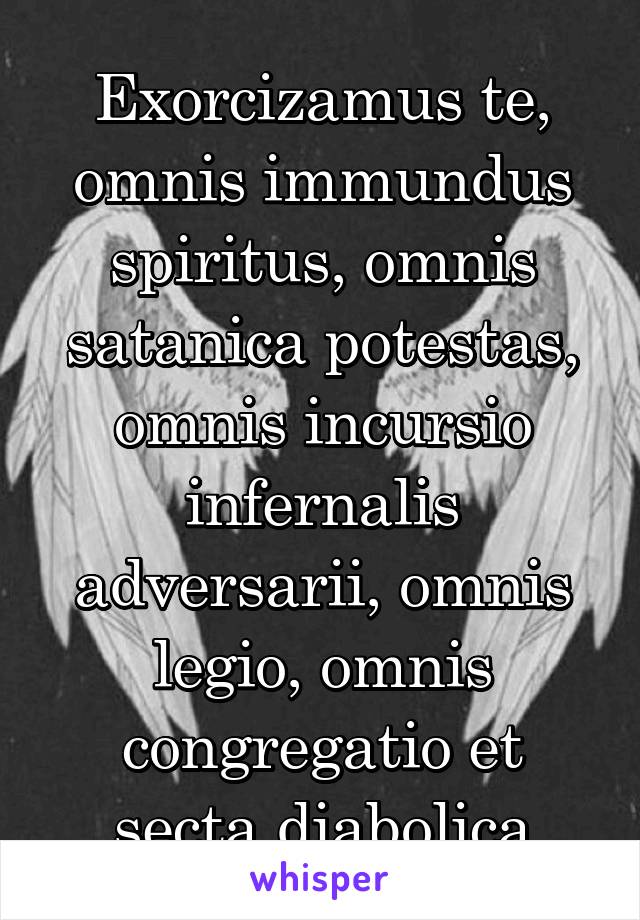 Exorcizamus te, omnis immundus spiritus, omnis satanica potestas, omnis incursio infernalis adversarii, omnis legio, omnis congregatio et secta diabolica