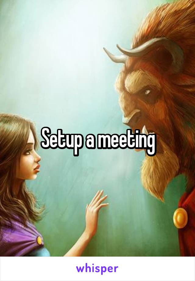 Setup a meeting