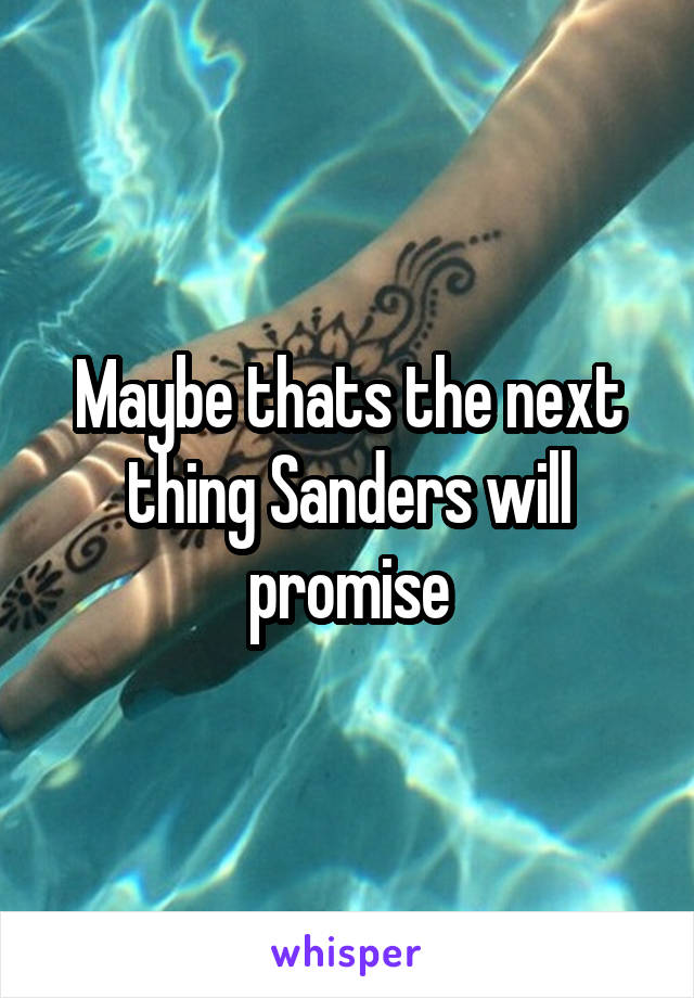 Maybe thats the next thing Sanders will promise