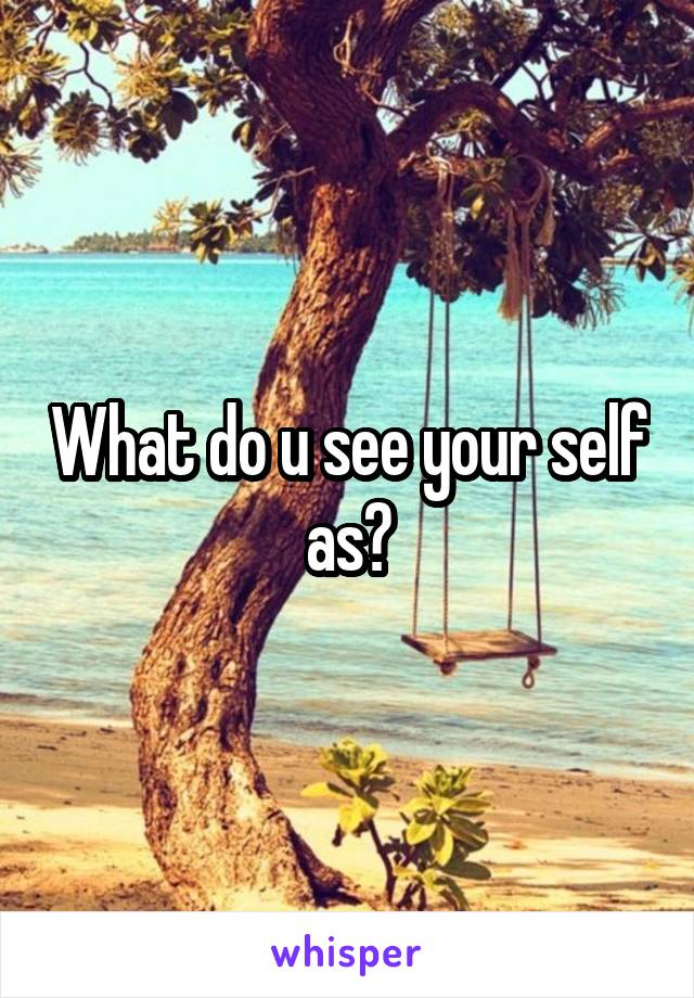 What do u see your self as?