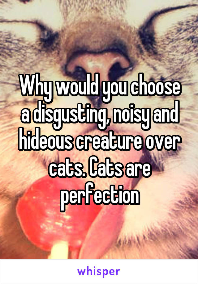 Why would you choose a disgusting, noisy and hideous creature over cats. Cats are perfection