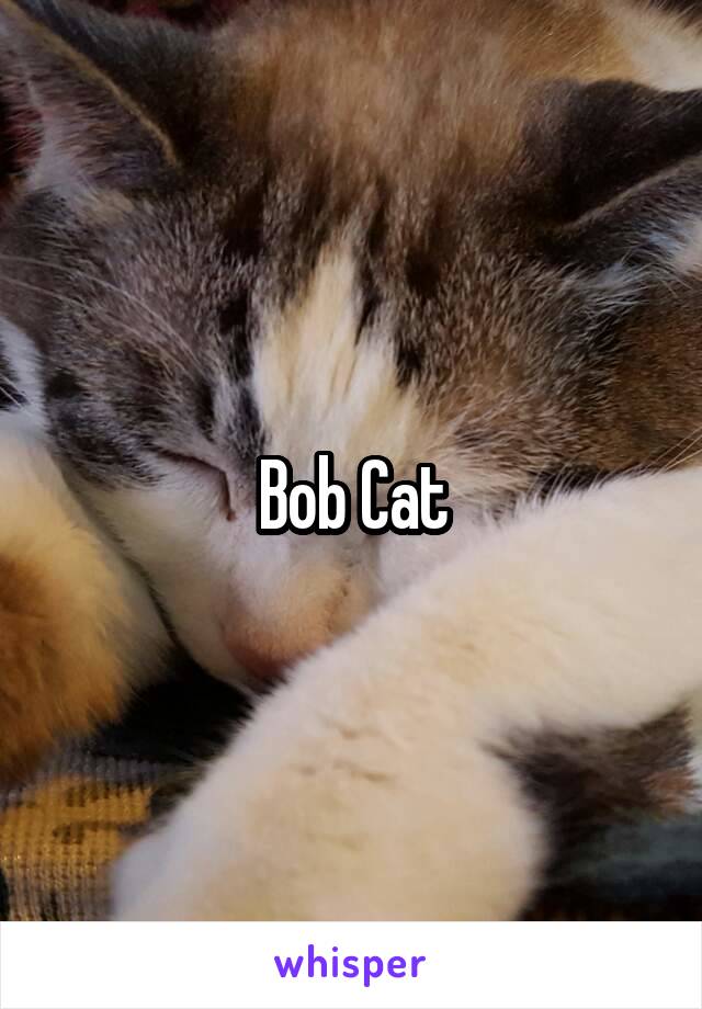 Bob Cat