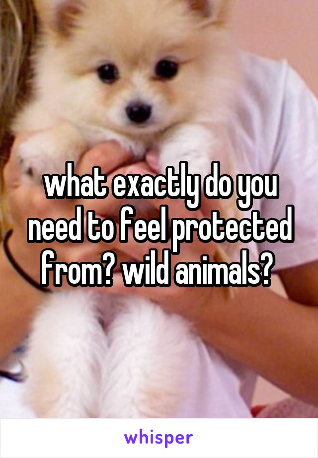 what exactly do you need to feel protected from? wild animals? 