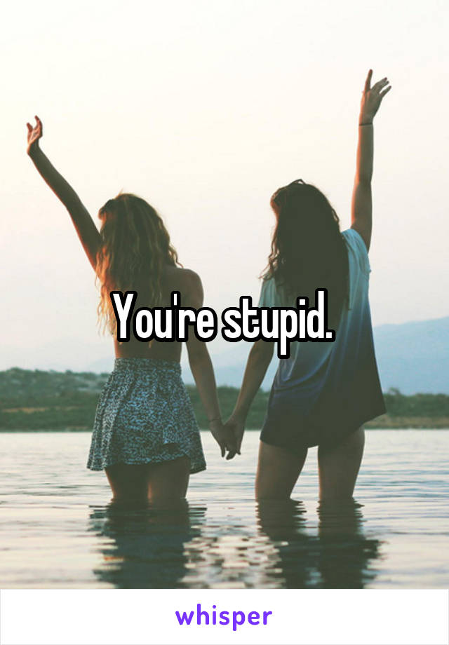 You're stupid. 