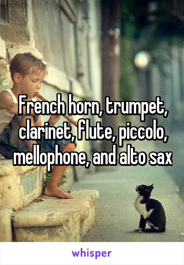 French horn, trumpet, clarinet, flute, piccolo, mellophone, and alto sax