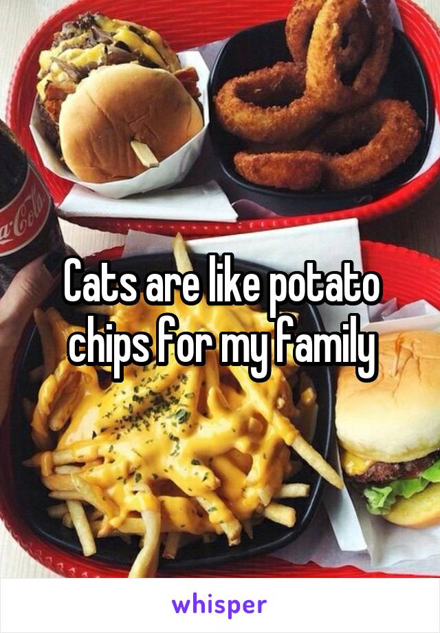 Cats are like potato chips for my family