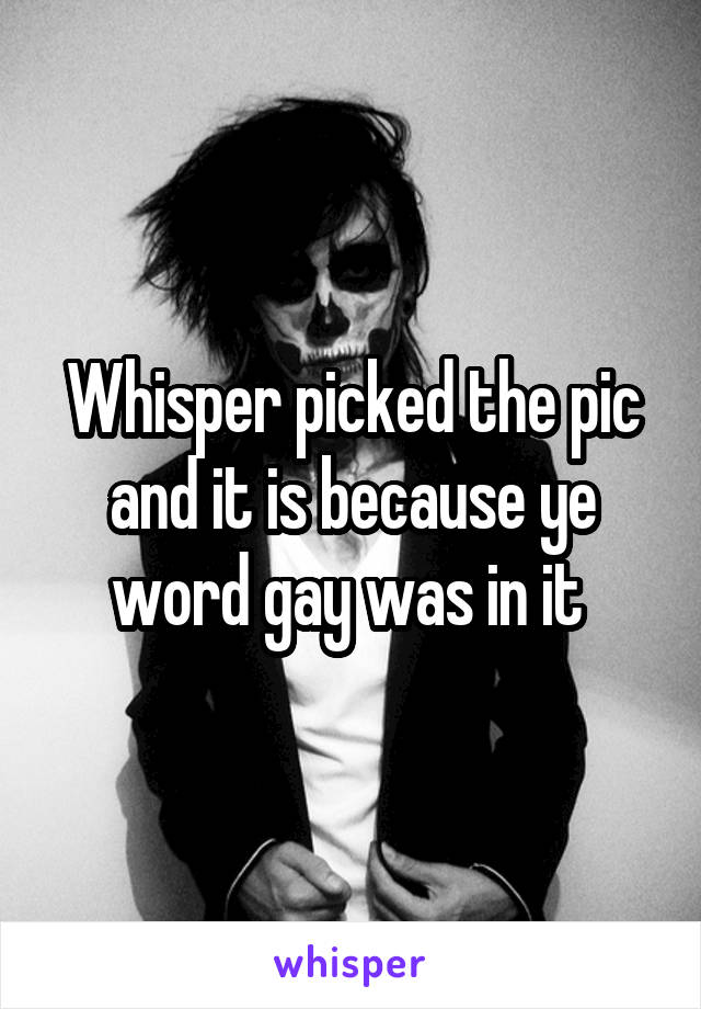 Whisper picked the pic and it is because ye word gay was in it 