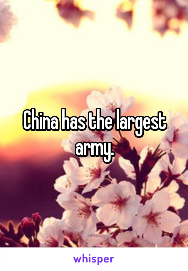 China has the largest army.