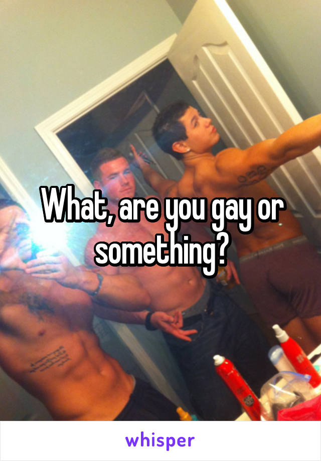 What, are you gay or something?
