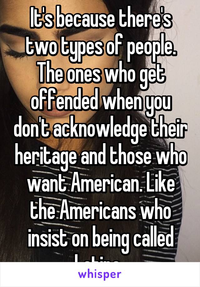 It's because there's two types of people. The ones who get offended when you don't acknowledge their heritage and those who want American. Like the Americans who insist on being called Latina. 