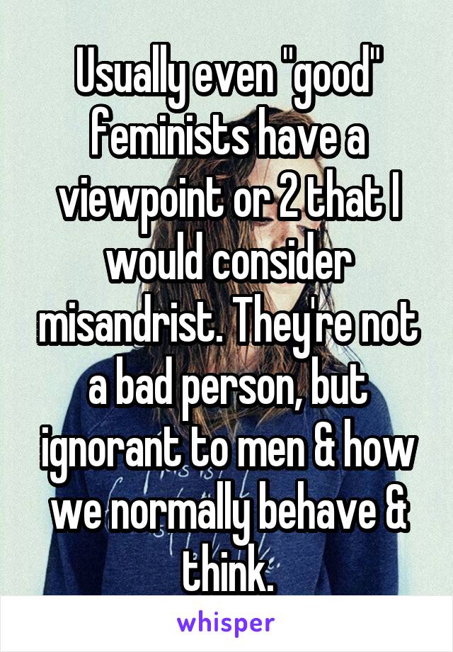 Usually even "good" feminists have a viewpoint or 2 that I would consider misandrist. They're not a bad person, but ignorant to men & how we normally behave & think.