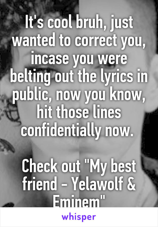 It's cool bruh, just wanted to correct you, incase you were belting out the lyrics in public, now you know, hit those lines confidentially now. 

Check out "My best friend - Yelawolf & Eminem"