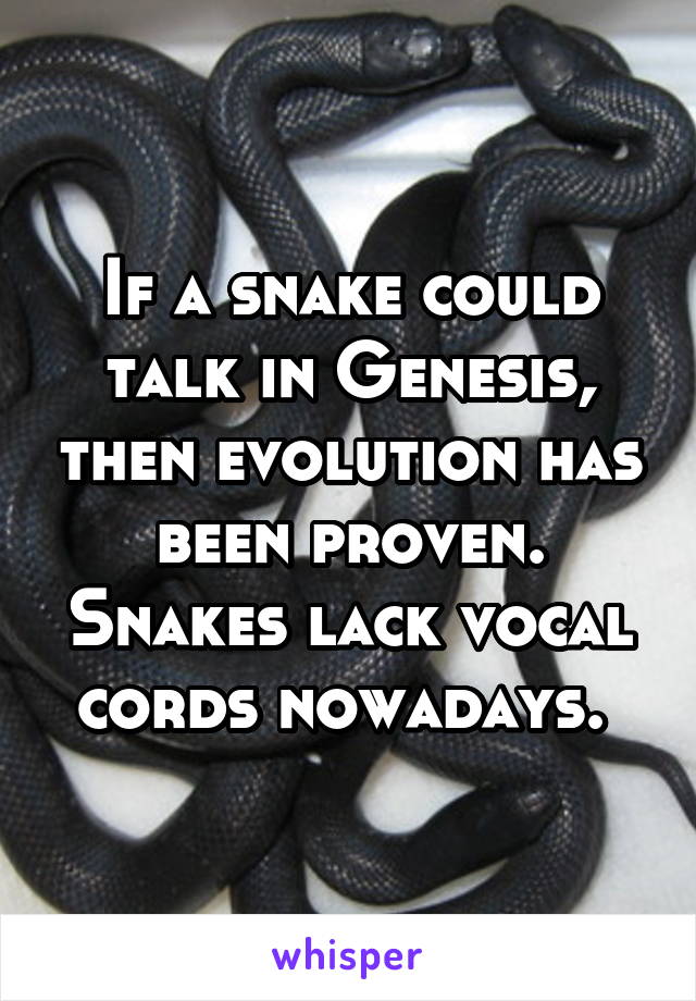If a snake could talk in Genesis, then evolution has been proven. Snakes lack vocal cords nowadays. 