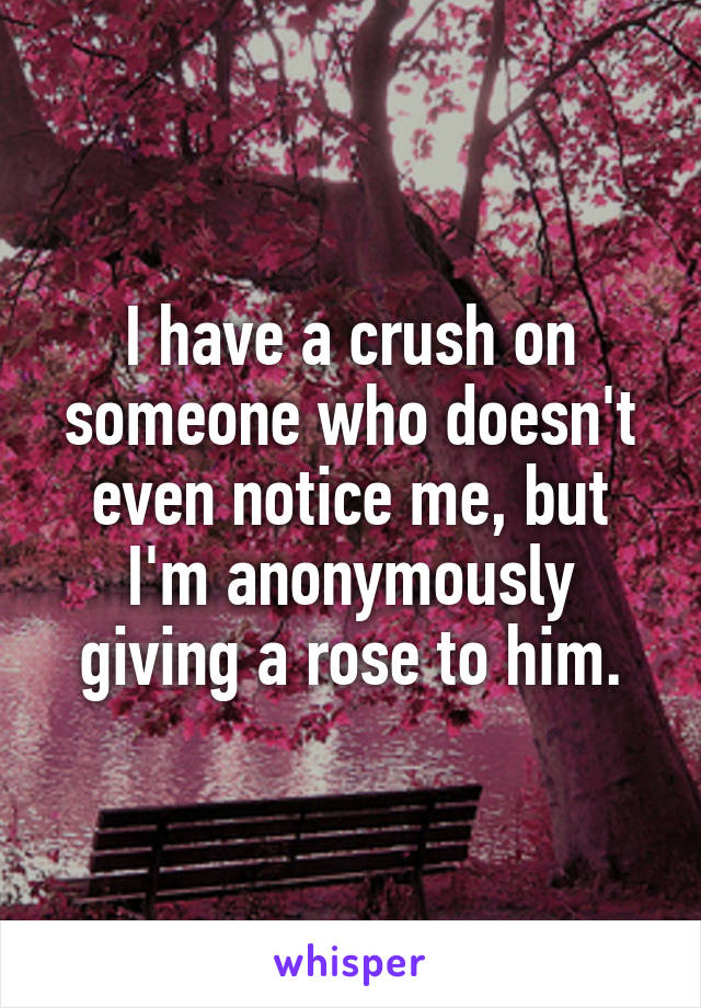 I have a crush on someone who doesn't even notice me, but I'm anonymously giving a rose to him.