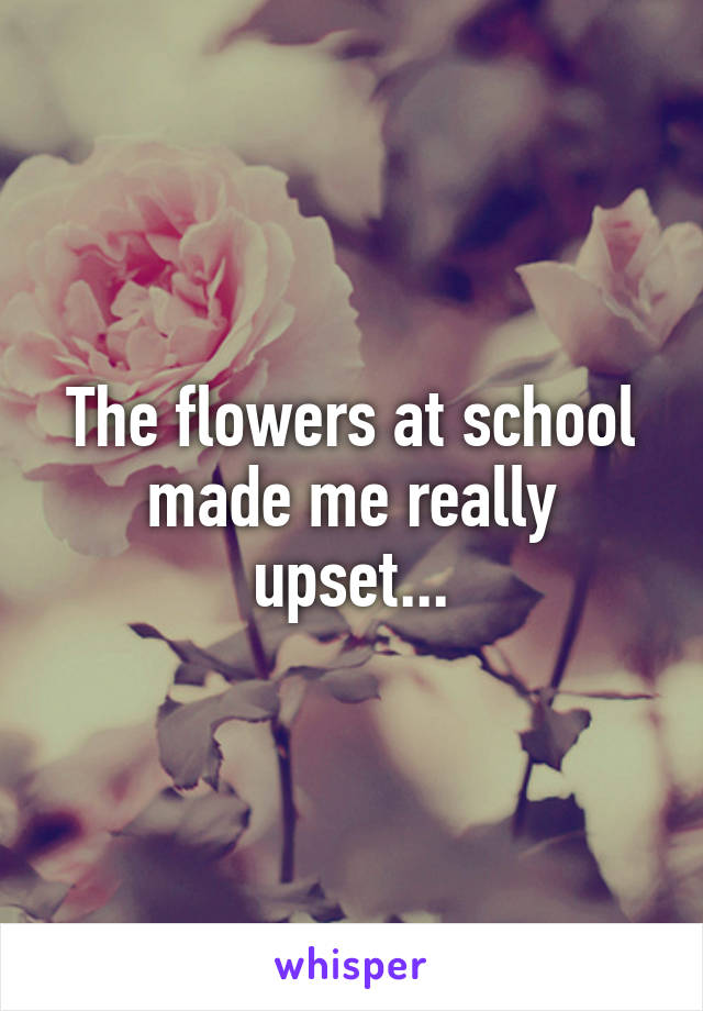 The flowers at school made me really upset...