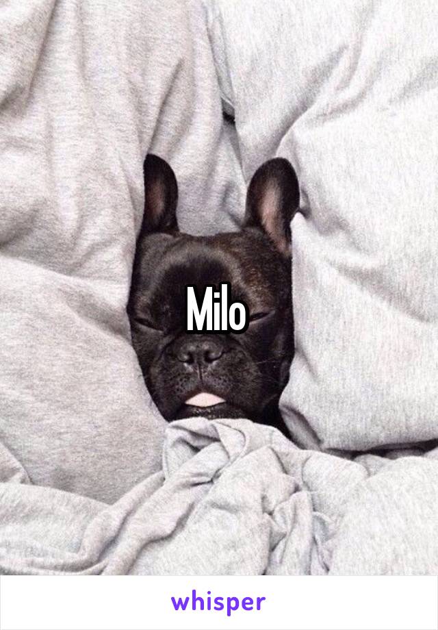Milo 