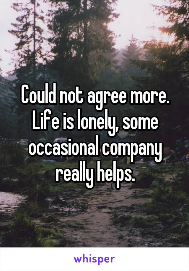 Could not agree more.
Life is lonely, some occasional company really helps.