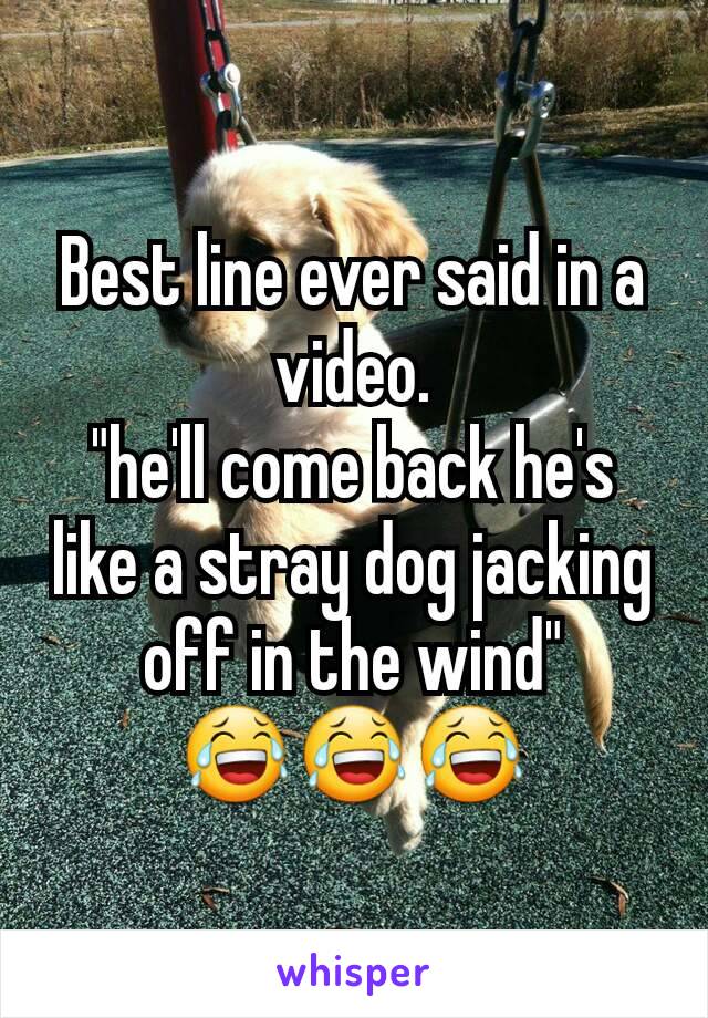 Best line ever said in a video.
"he'll come back he's like a stray dog jacking off in the wind"
😂😂😂