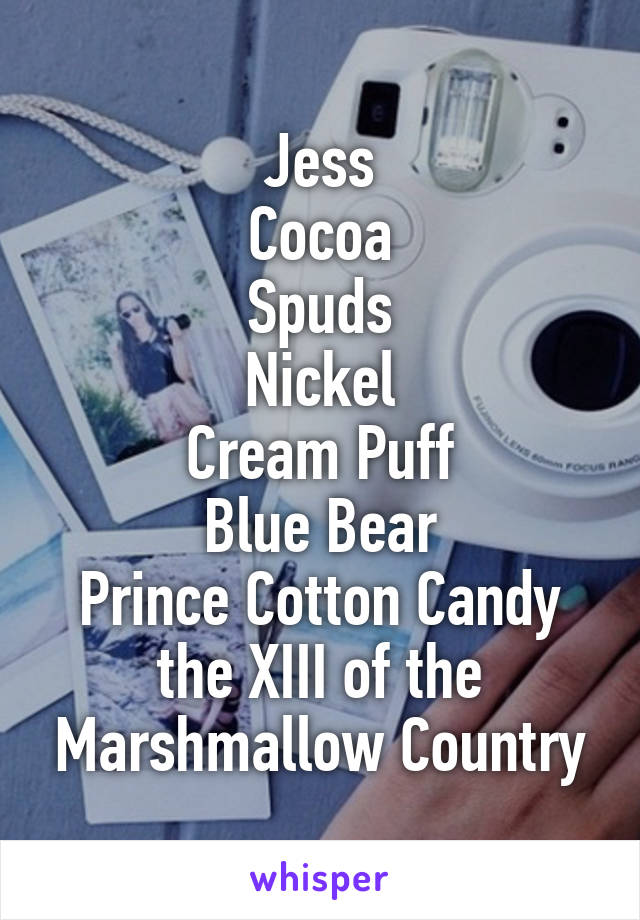 Jess
Cocoa
Spuds
Nickel
Cream Puff
Blue Bear
Prince Cotton Candy the XIII of the Marshmallow Country
