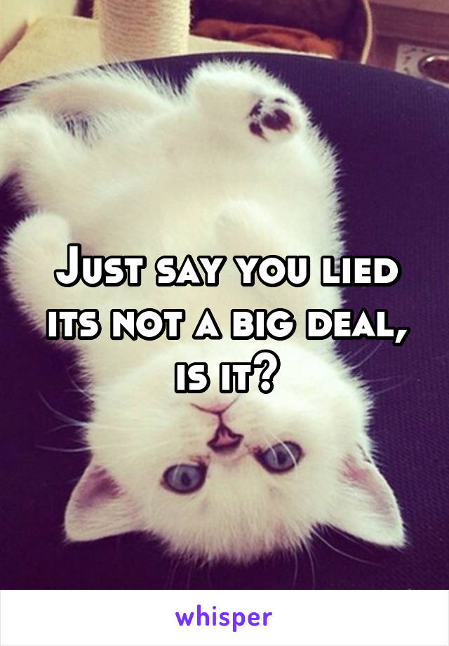 Just say you lied its not a big deal, is it?