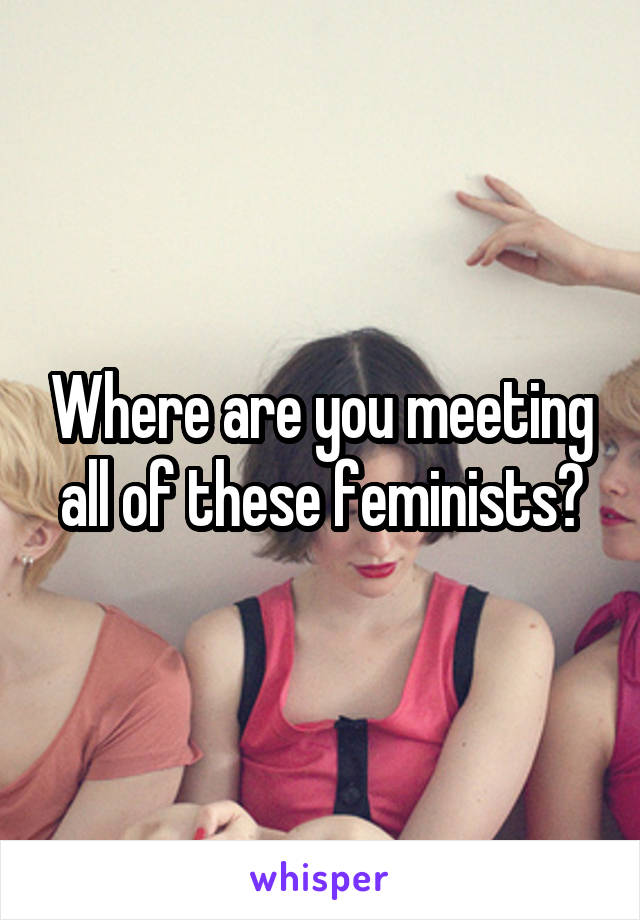 Where are you meeting all of these feminists?