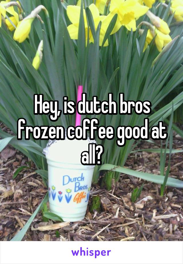 Hey, is dutch bros frozen coffee good at all?