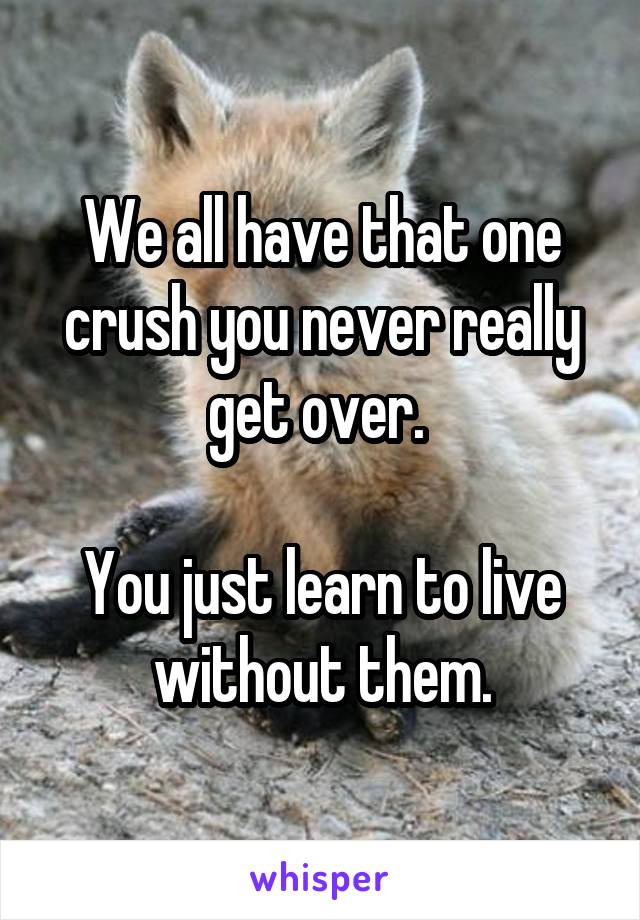 We all have that one crush you never really get over. 

You just learn to live without them.