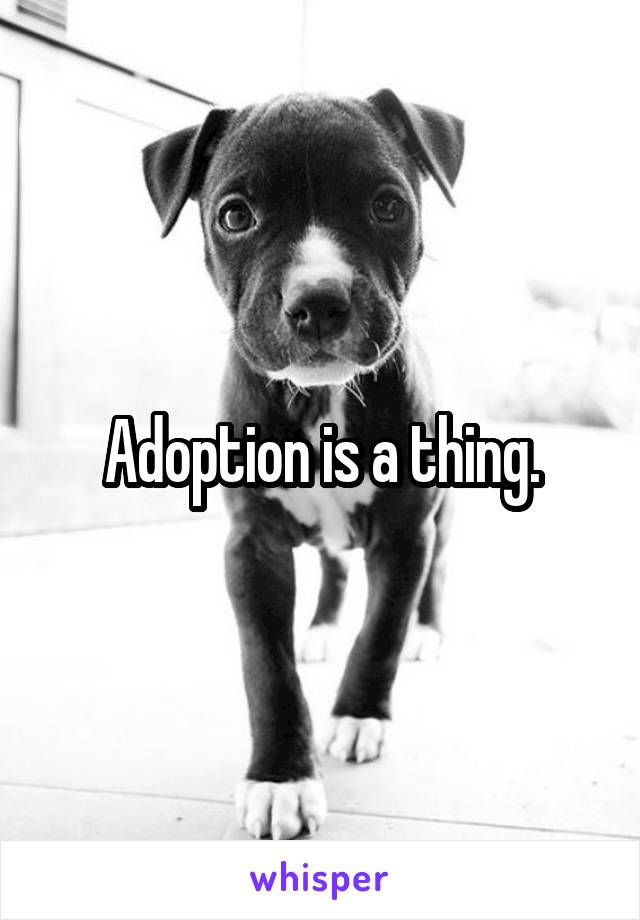 Adoption is a thing.