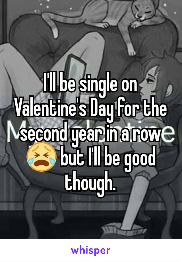 I'll be single on Valentine's Day for the second year in a row😭 but I'll be good though.