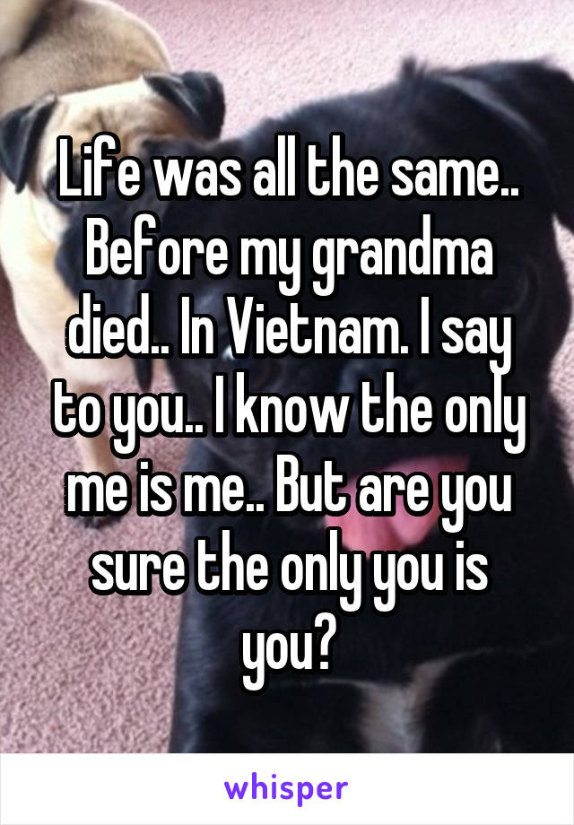 Life was all the same.. Before my grandma died.. In Vietnam. I say to you.. I know the only me is me.. But are you sure the only you is you?