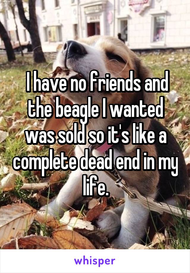  I have no friends and the beagle I wanted was sold so it's like a complete dead end in my life.