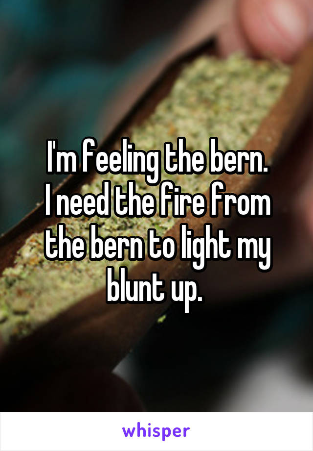 I'm feeling the bern.
I need the fire from the bern to light my blunt up. 