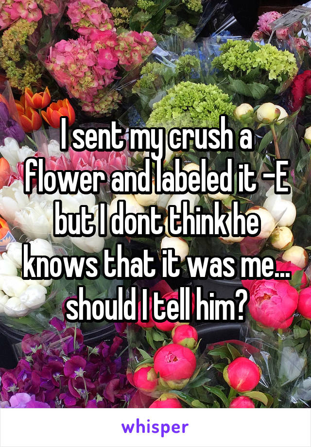 I sent my crush a flower and labeled it -E but I dont think he knows that it was me... should I tell him?