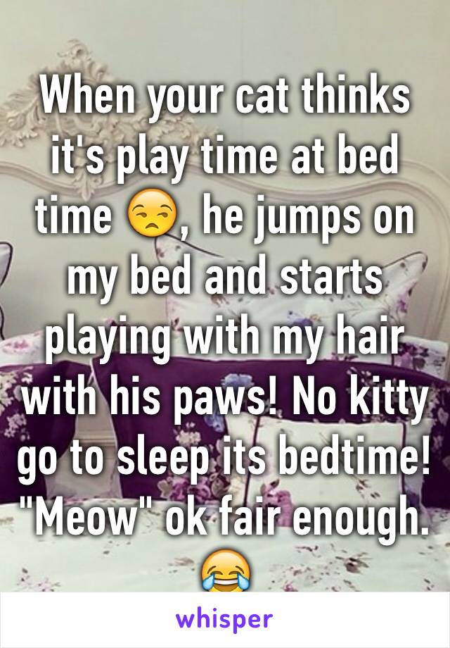 When your cat thinks it's play time at bed time 😒, he jumps on my bed and starts playing with my hair with his paws! No kitty go to sleep its bedtime! "Meow" ok fair enough. 😂