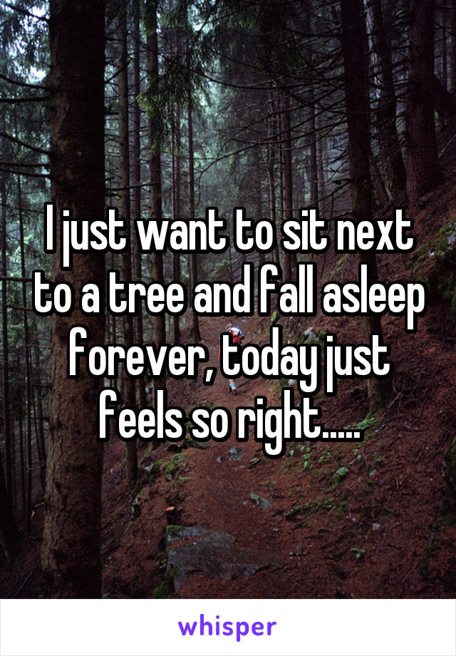 I just want to sit next to a tree and fall asleep forever, today just feels so right.....