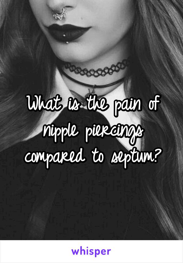 What is the pain of nipple piercings compared to septum?