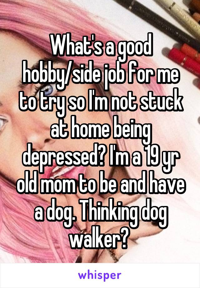 What's a good hobby/side job for me to try so I'm not stuck at home being depressed? I'm a 19 yr old mom to be and have a dog. Thinking dog walker? 