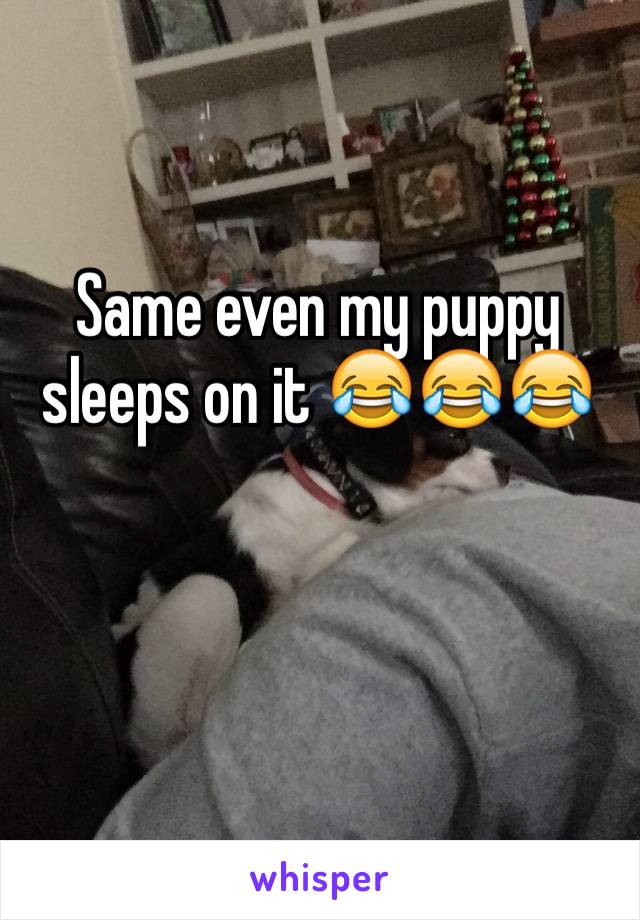 Same even my puppy sleeps on it 😂😂😂