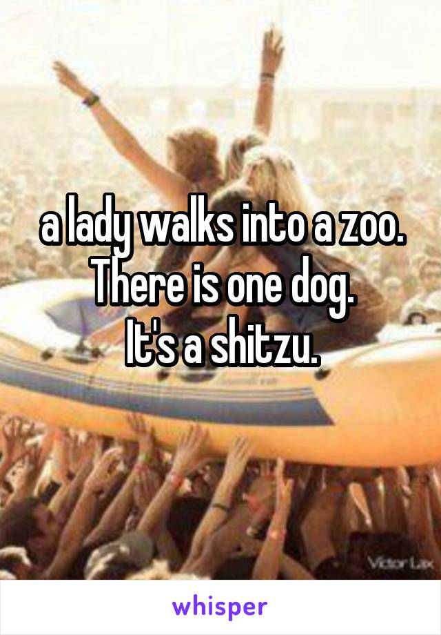 a lady walks into a zoo.
There is one dog.
It's a shitzu.
