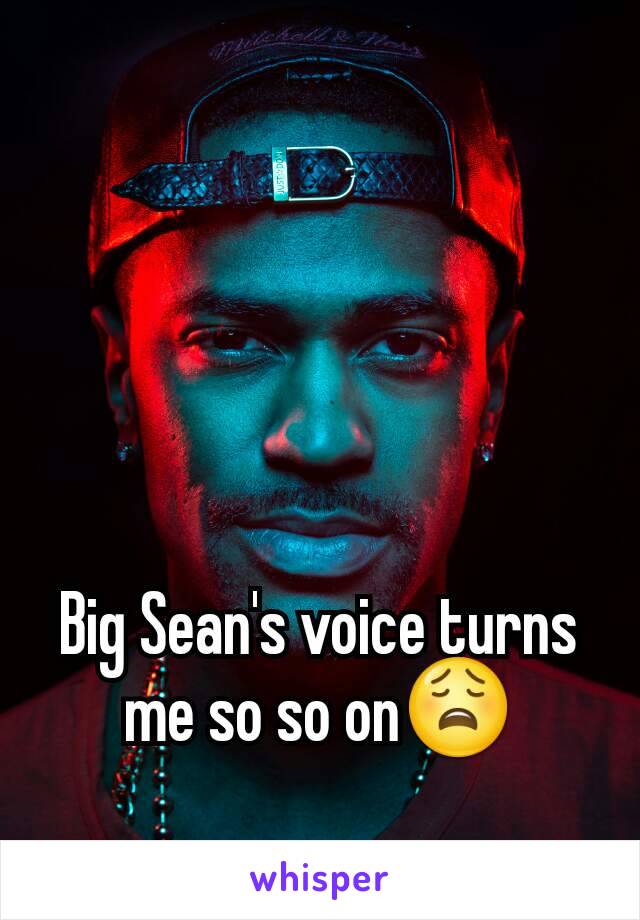 Big Sean's voice turns me so so on😩
