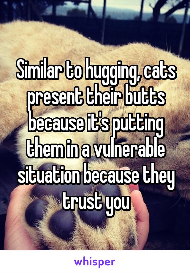 Similar to hugging, cats present their butts because it's putting them in a vulnerable situation because they trust you