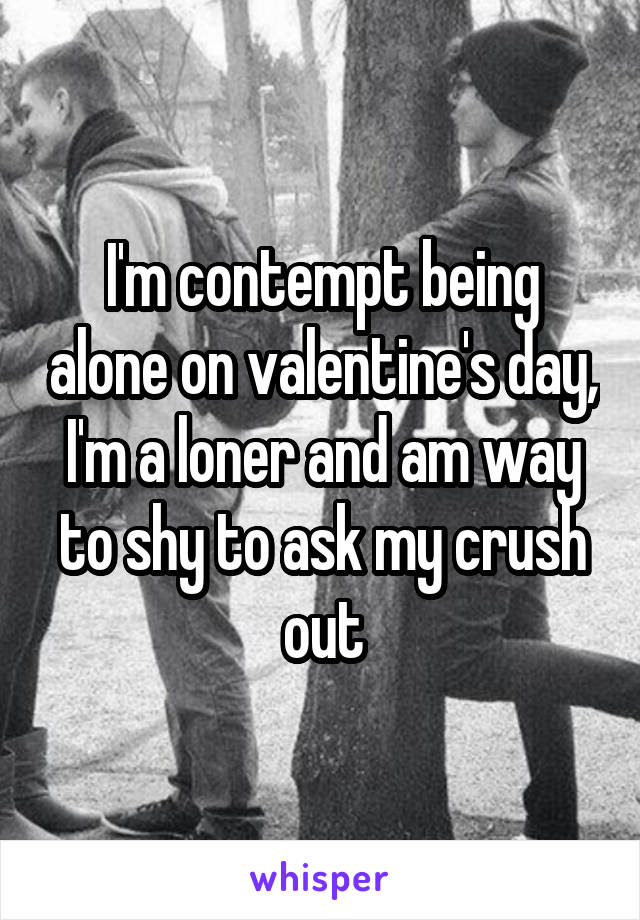 I'm contempt being alone on valentine's day, I'm a loner and am way to shy to ask my crush out
