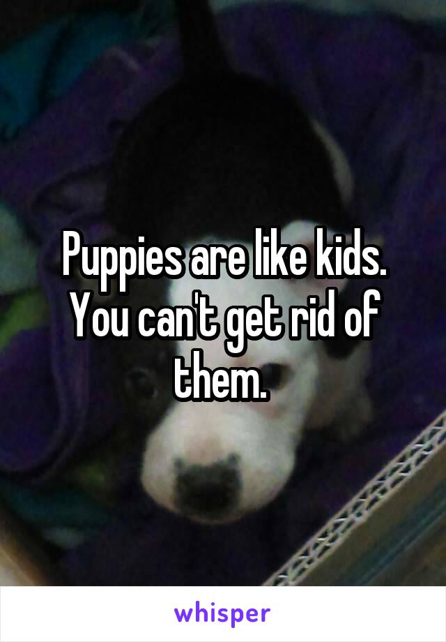 Puppies are like kids. You can't get rid of them. 