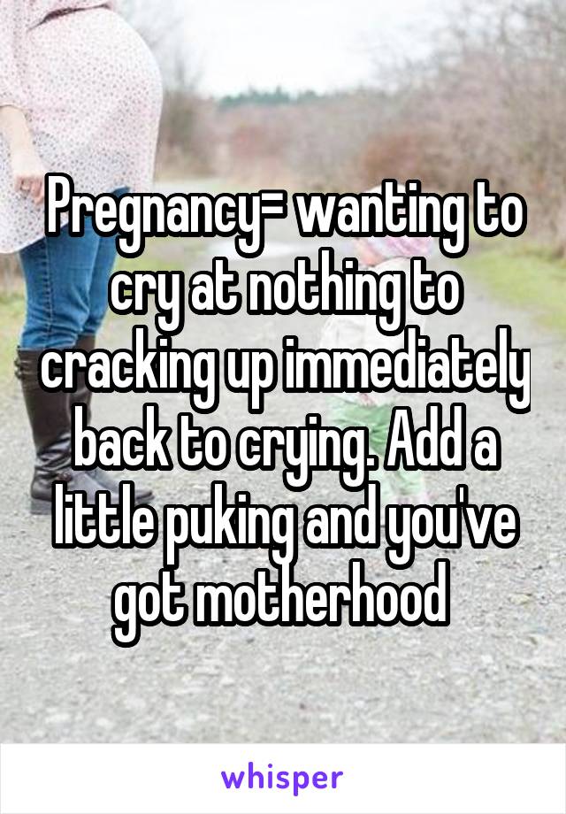 Pregnancy= wanting to cry at nothing to cracking up immediately back to crying. Add a little puking and you've got motherhood 