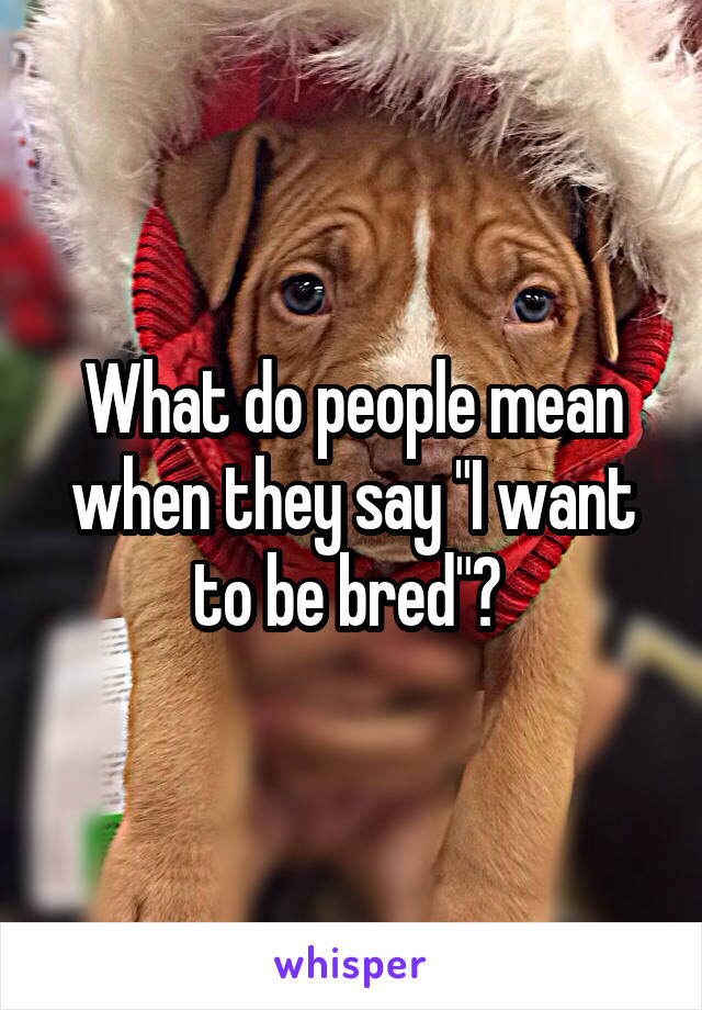 What do people mean when they say "I want to be bred"? 