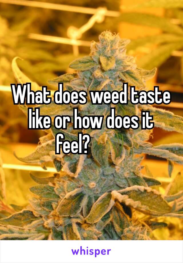 What does weed taste like or how does it feel? 🌾
